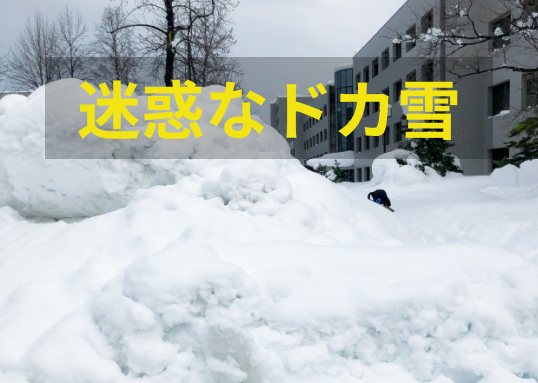 何とかしたい不用品！